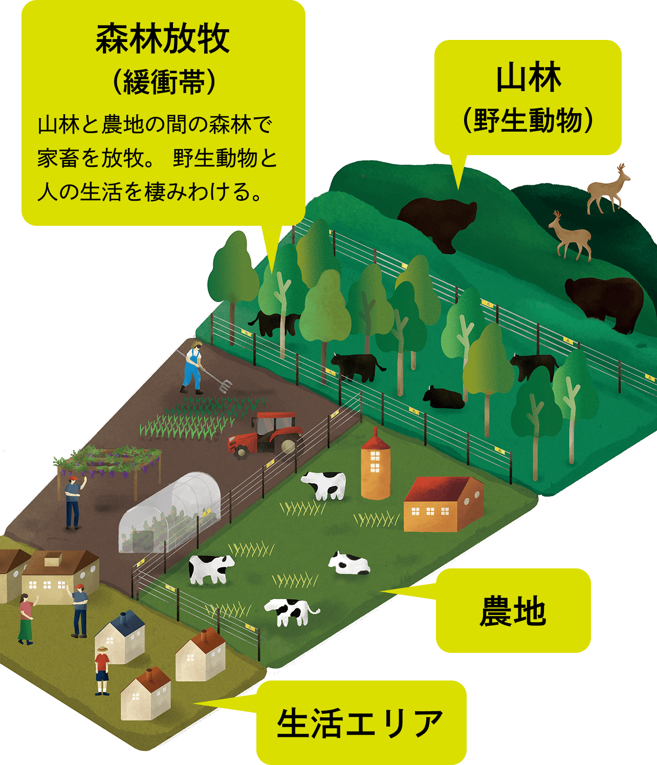 SUMIWAKEのビジュアル