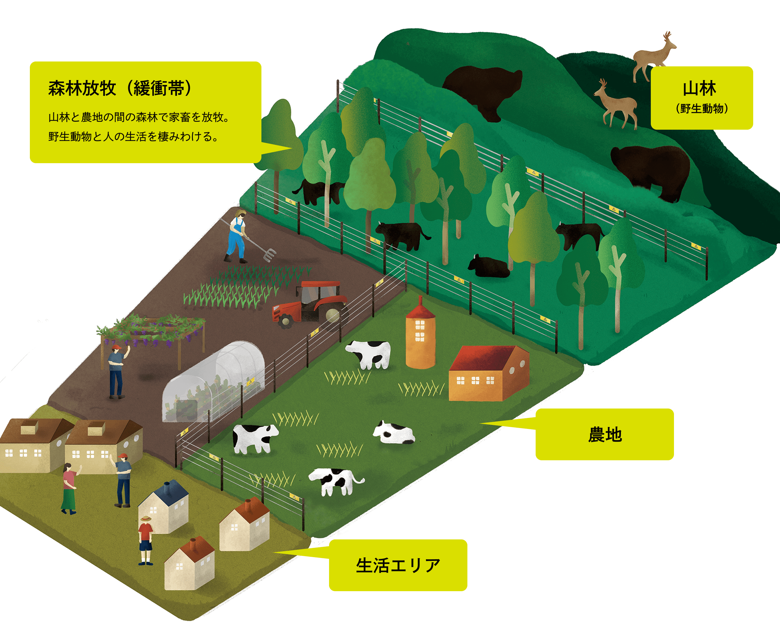 SUMIWAKEのビジュアル